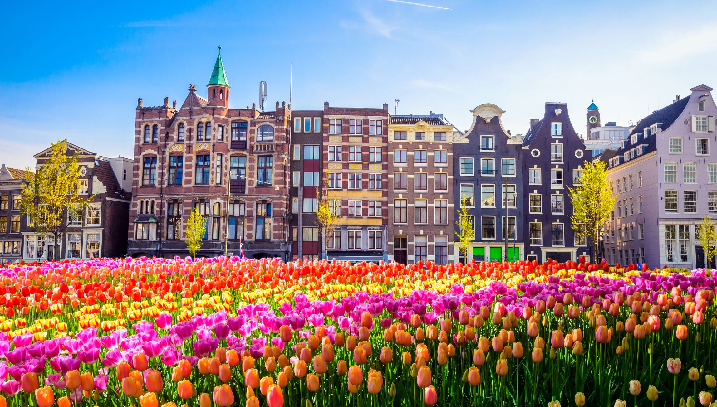 Amsterdam Schiphol to the city: when the train is enough and when it is not